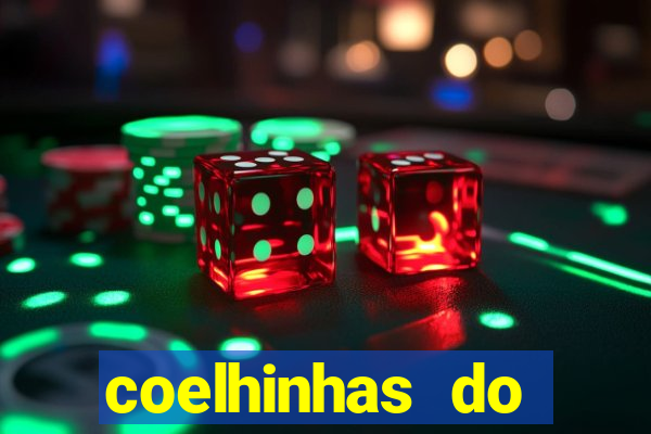 coelhinhas do brasil recife